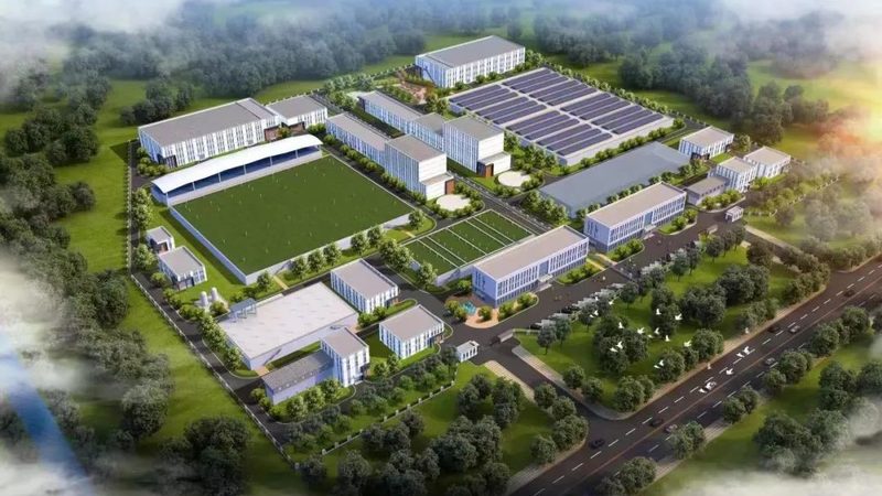 木材胶粘剂使用方法：关键步骤与注意事项